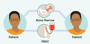 Autologous Bone Marrow Transplant
