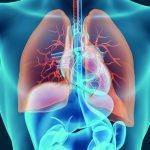Lungs Transplantation