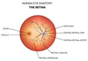 Retinal Diseases Treatments