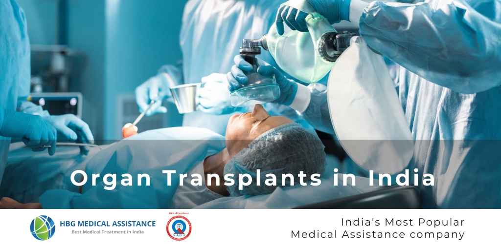 Living Donor Organ Transplant In India - Hospitals - HBG